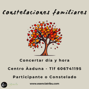 Constelaciones Familiares